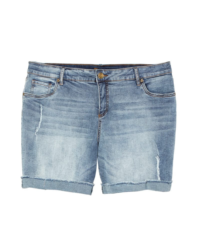 Front of plus size  by Kut From The Kloth | Dia&Co | dia_product_style_image_id:122723